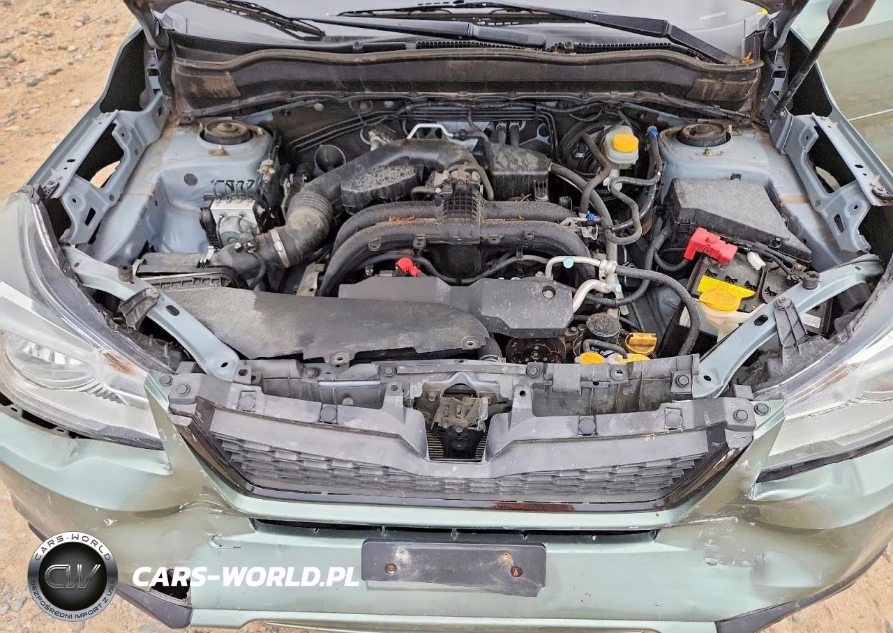 2018 Subaru Forester 2.5I VIN:JF2SJABC8JH612681 - 12