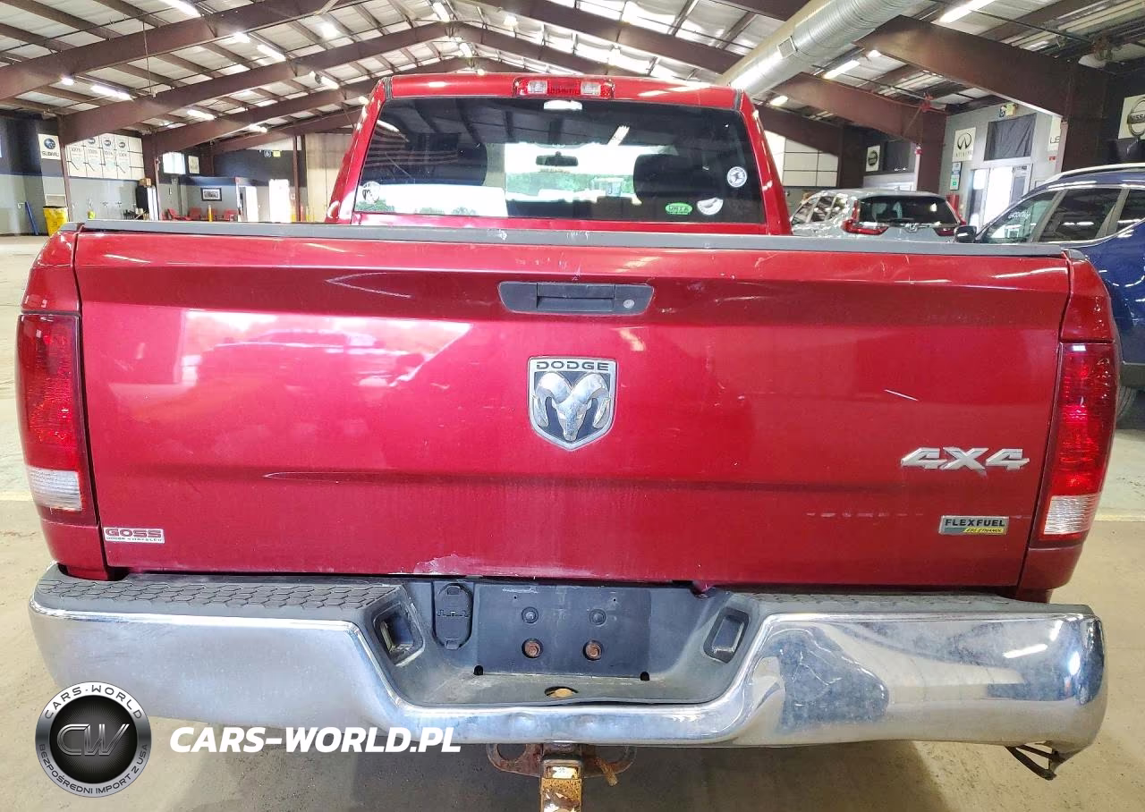2010 Dodge Ram 1500 VIN:1D7RV1GPXAS231629 - 6