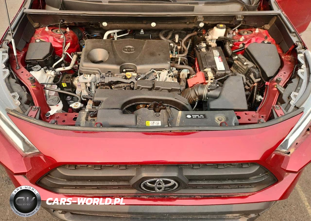 2020 Toyota Rav4 Xle VIN:2T3P1RFV0LW100800 - 11