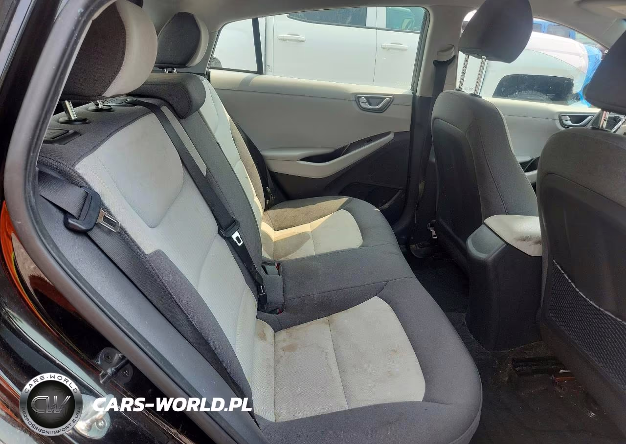 2020 Hyundai Ioniq Blue VIN:KMHC65LC1LU215538 - 10