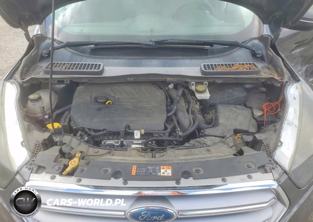 2017 Ford Escape Se VIN:1FMCU0GD6HUC18325 - 12