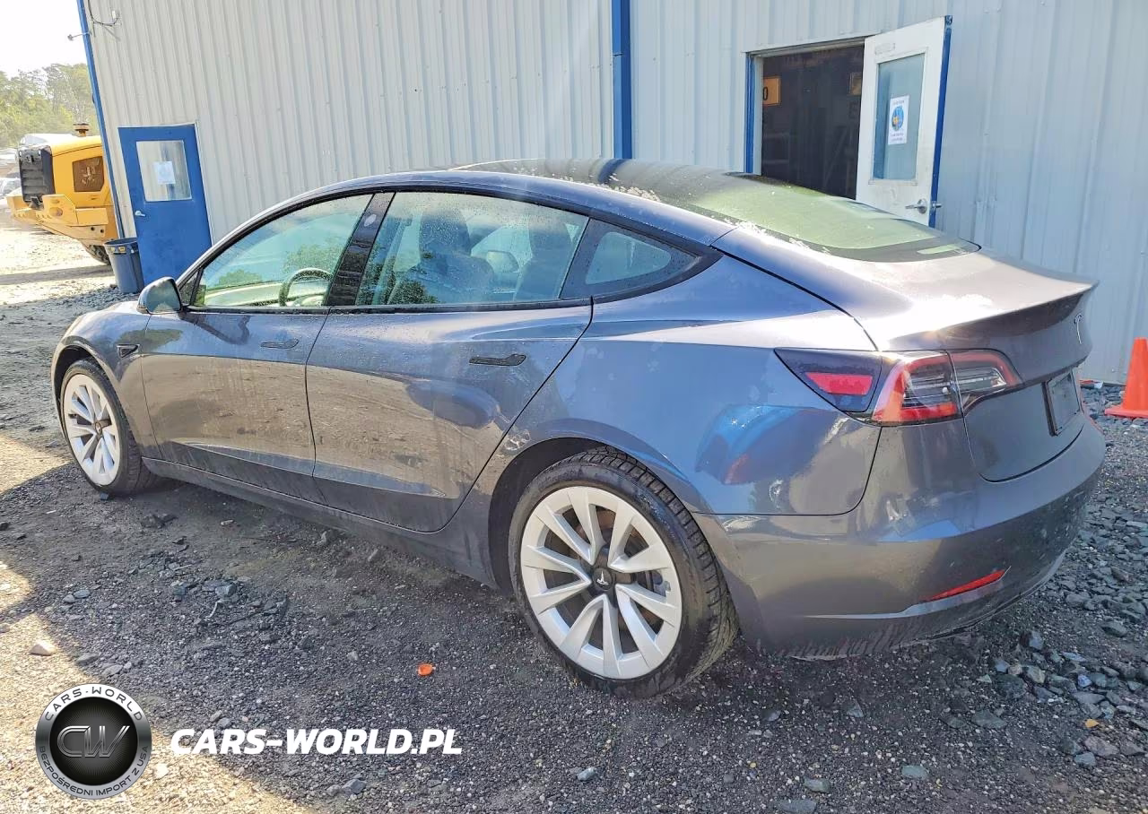 2023 Tesla Model 3 VIN:5YJ3E1EA1PF435790 - 2