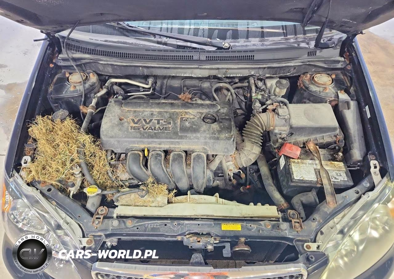 2005 Toyota Corolla S VIN:1NXBR32EX5Z411295 - 11