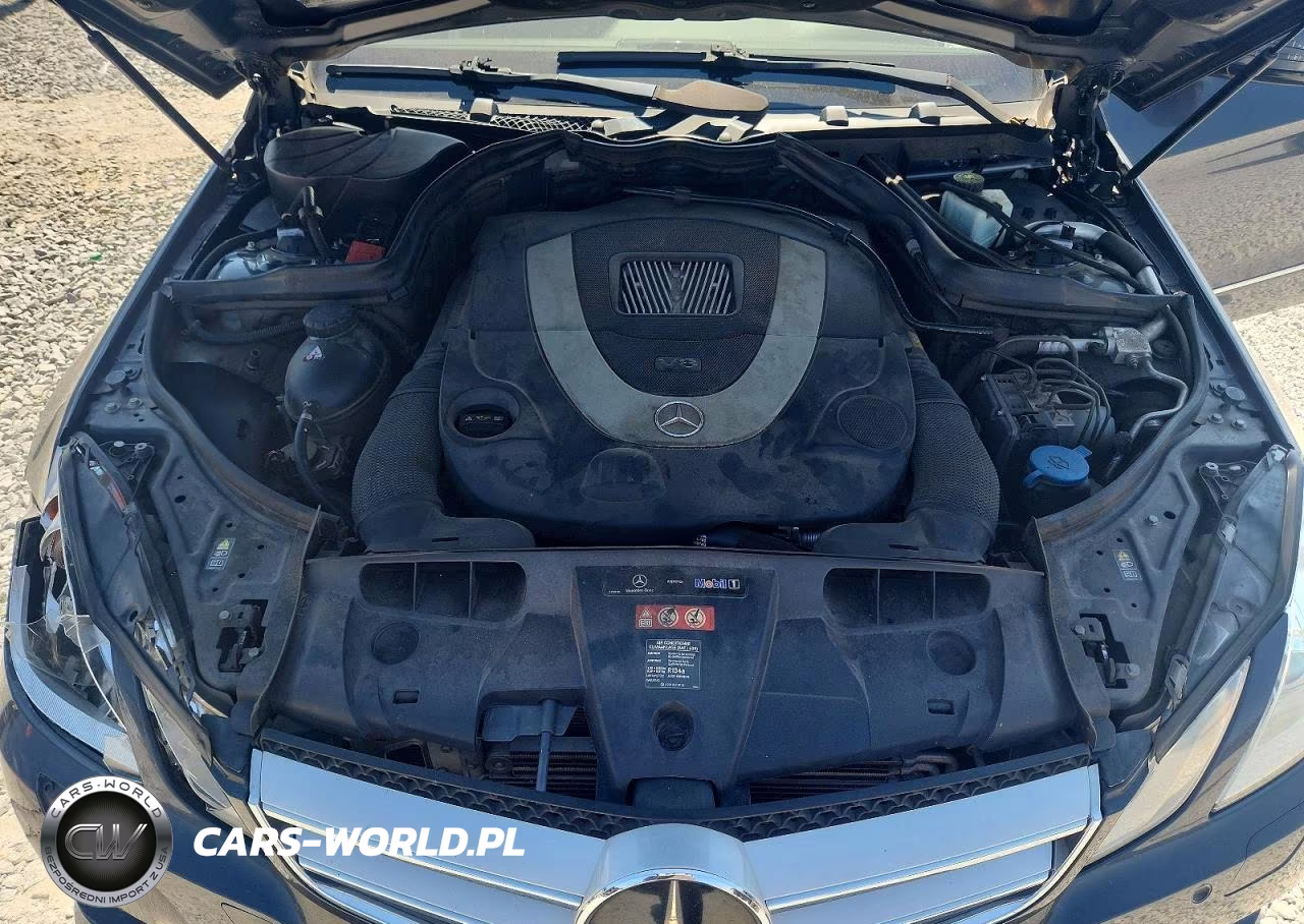 2011 Mercedes-Benz E 550 VIN:WDDKJ7CB6BF119172 - 11