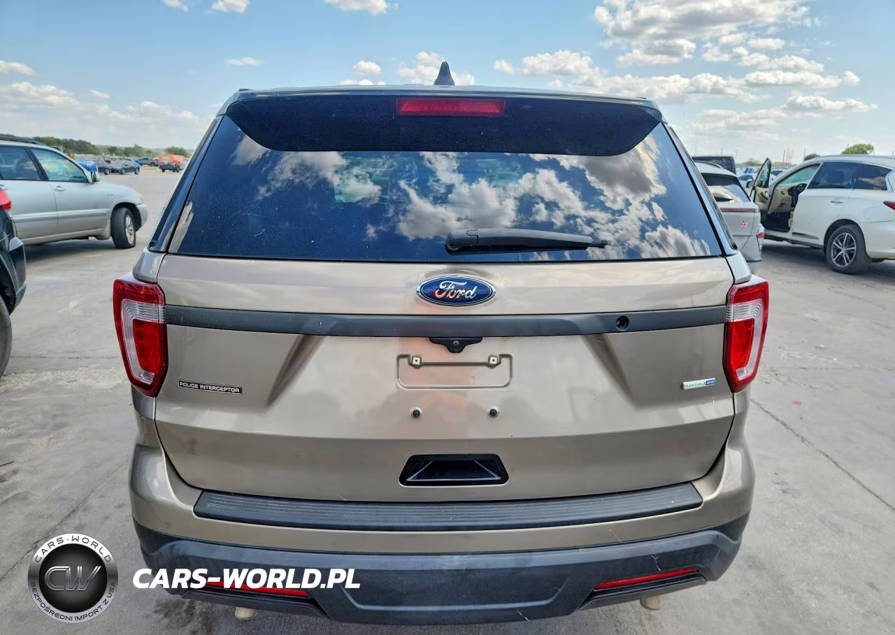 2019 Ford Explorer Police Interceptor VIN:1FM5K8ARXKGA64953 - 6