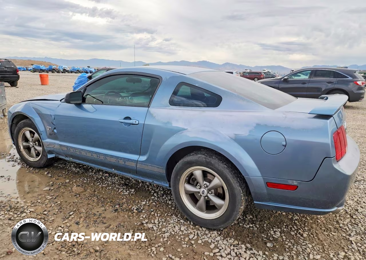 2006 Ford Mustang Gt VIN:1ZVFT82H065214109 - 2