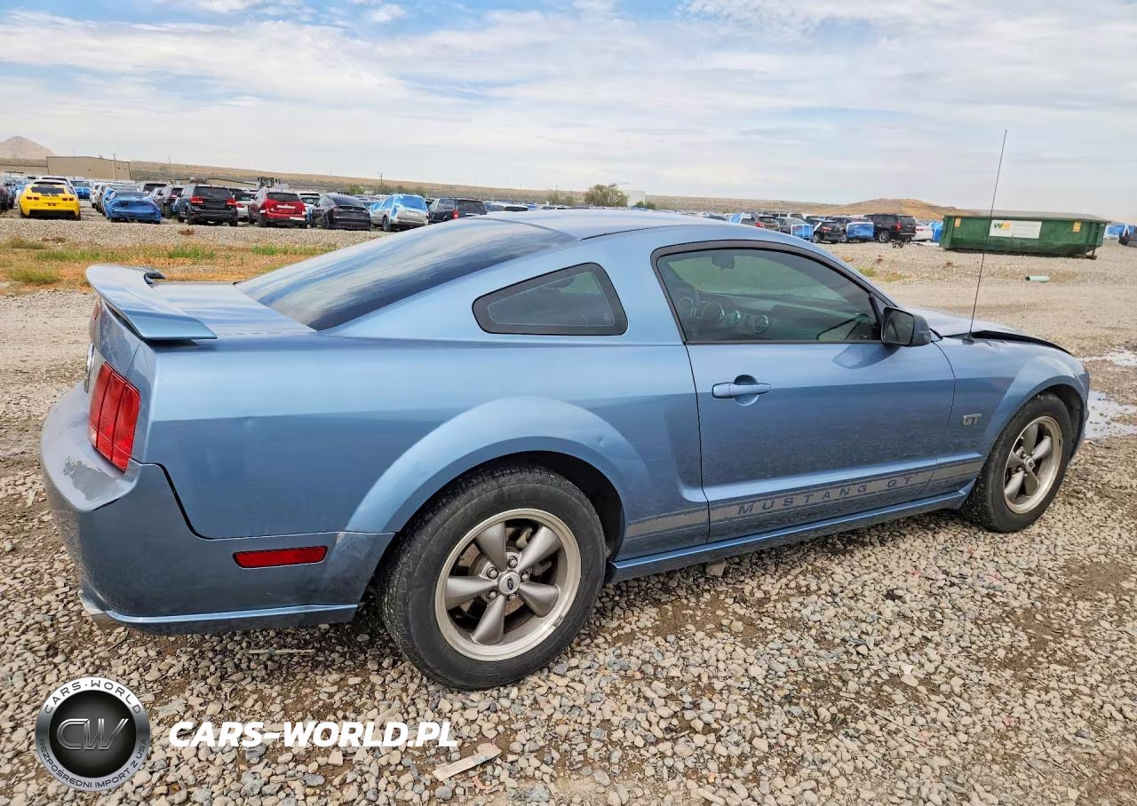 2006 Ford Mustang Gt VIN:1ZVFT82H065214109 - 3