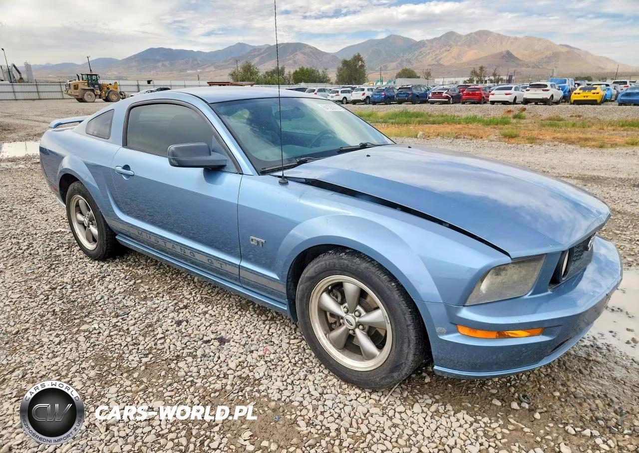 2006 Ford Mustang Gt VIN:1ZVFT82H065214109 - 4