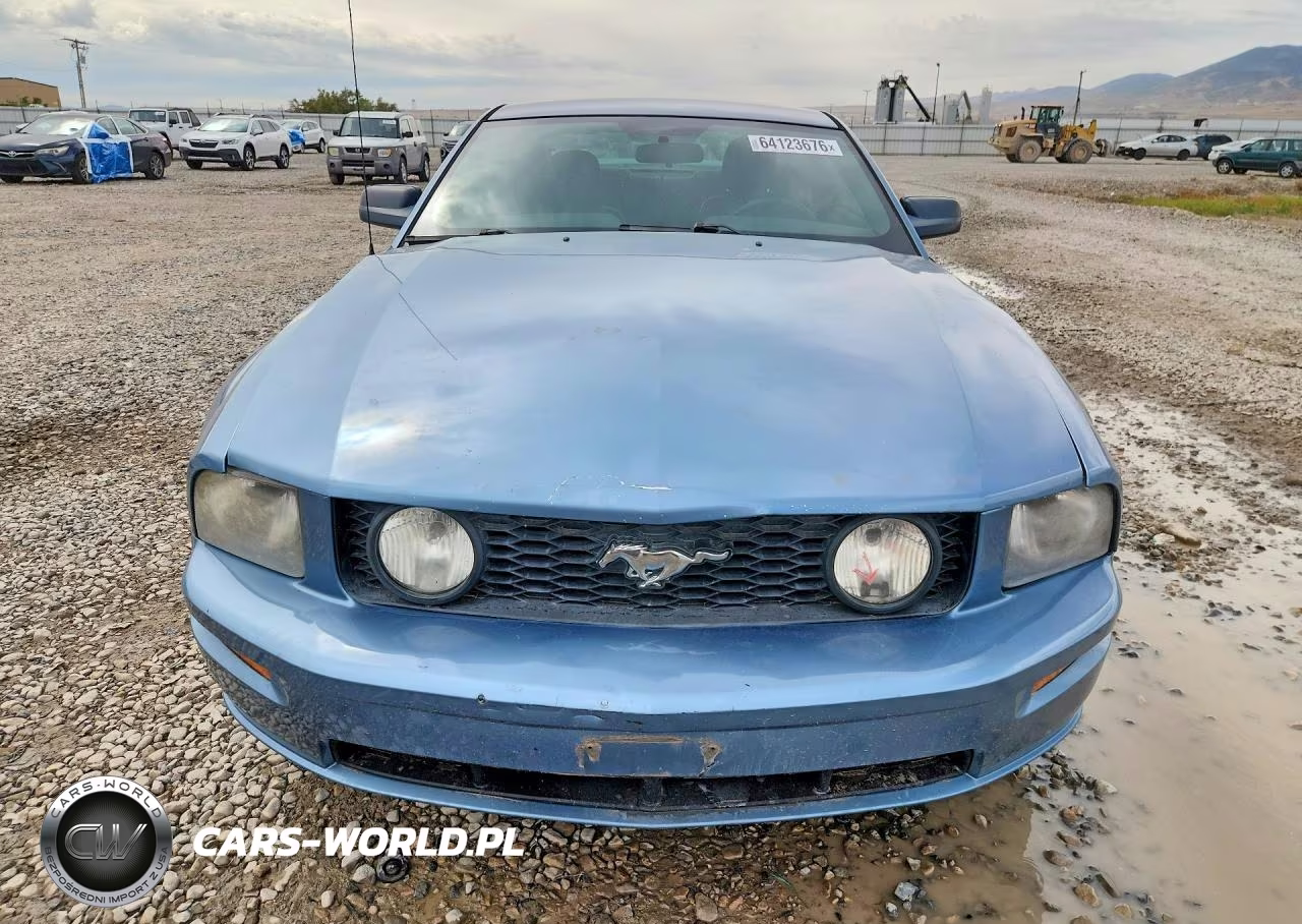 2006 Ford Mustang Gt VIN:1ZVFT82H065214109 - 5