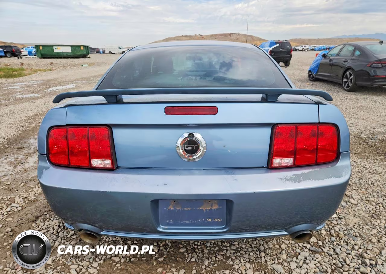 2006 Ford Mustang Gt VIN:1ZVFT82H065214109 - 6