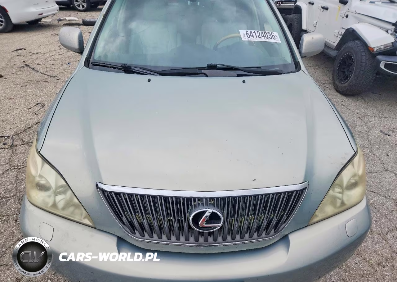 2007 Lexus Rx 350 VIN:2T2HK31U97C025698 - 12