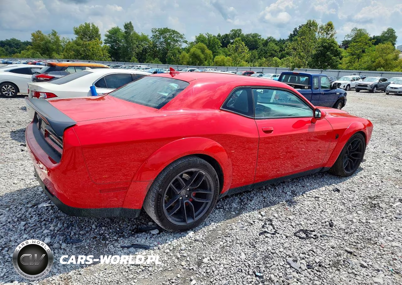2019 Dodge Challenger Srt Hellcat Redeye VIN:2C3CDZL97KH719166 - 3