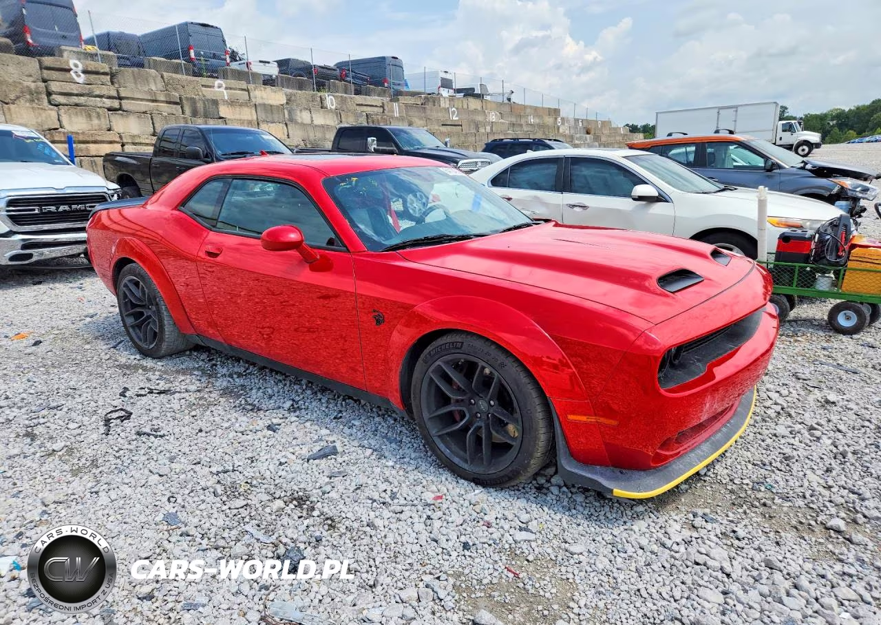 2019 Dodge Challenger Srt Hellcat Redeye VIN:2C3CDZL97KH719166 - 4