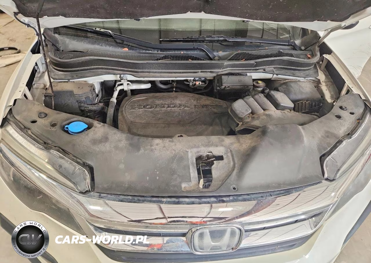 2019 Honda Pilot Exl VIN:5FNYF6H5XKB054138 - 12