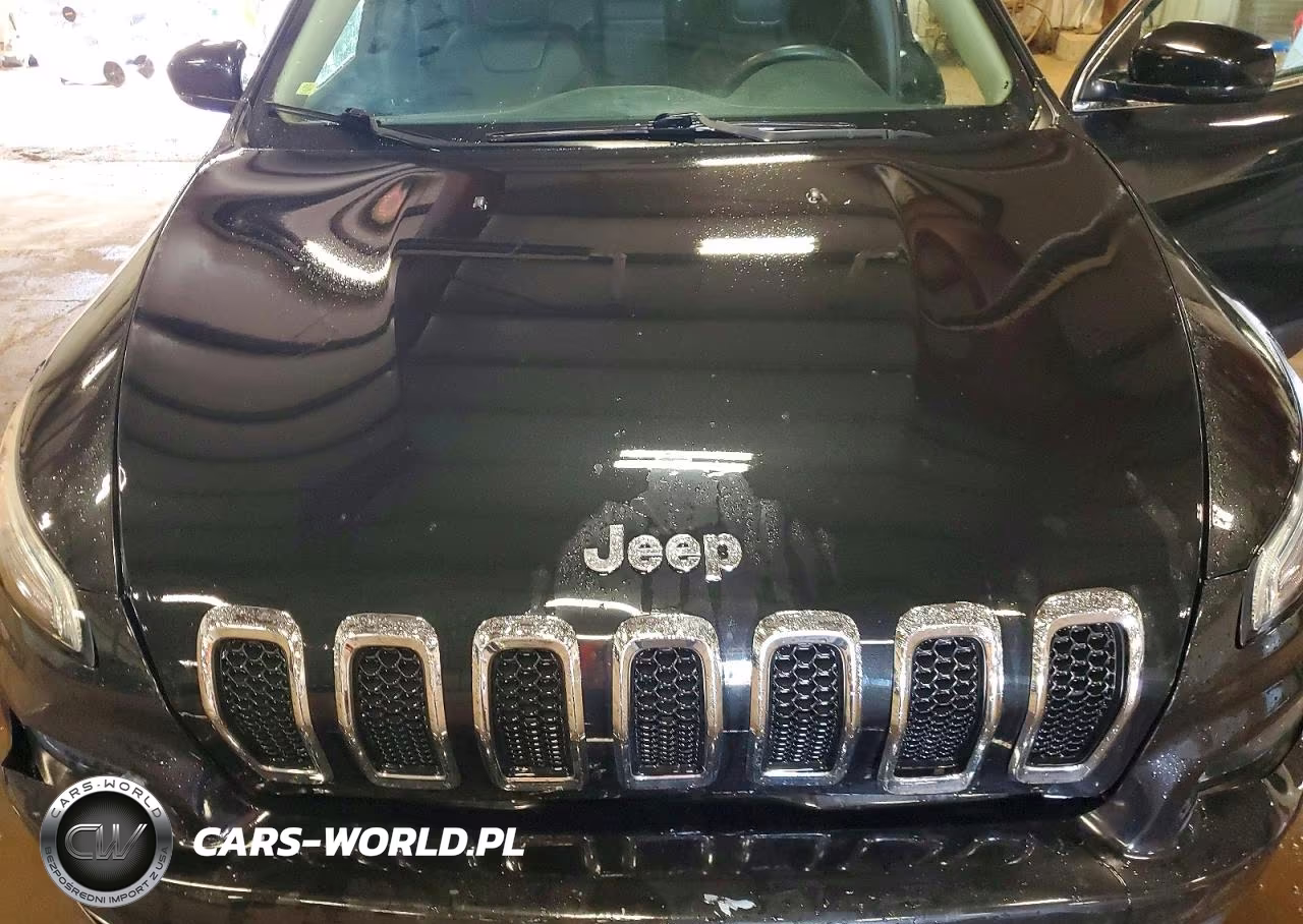 2016 Jeep Cherokee Limited VIN:1C4PJMDS2GW344466 - 12