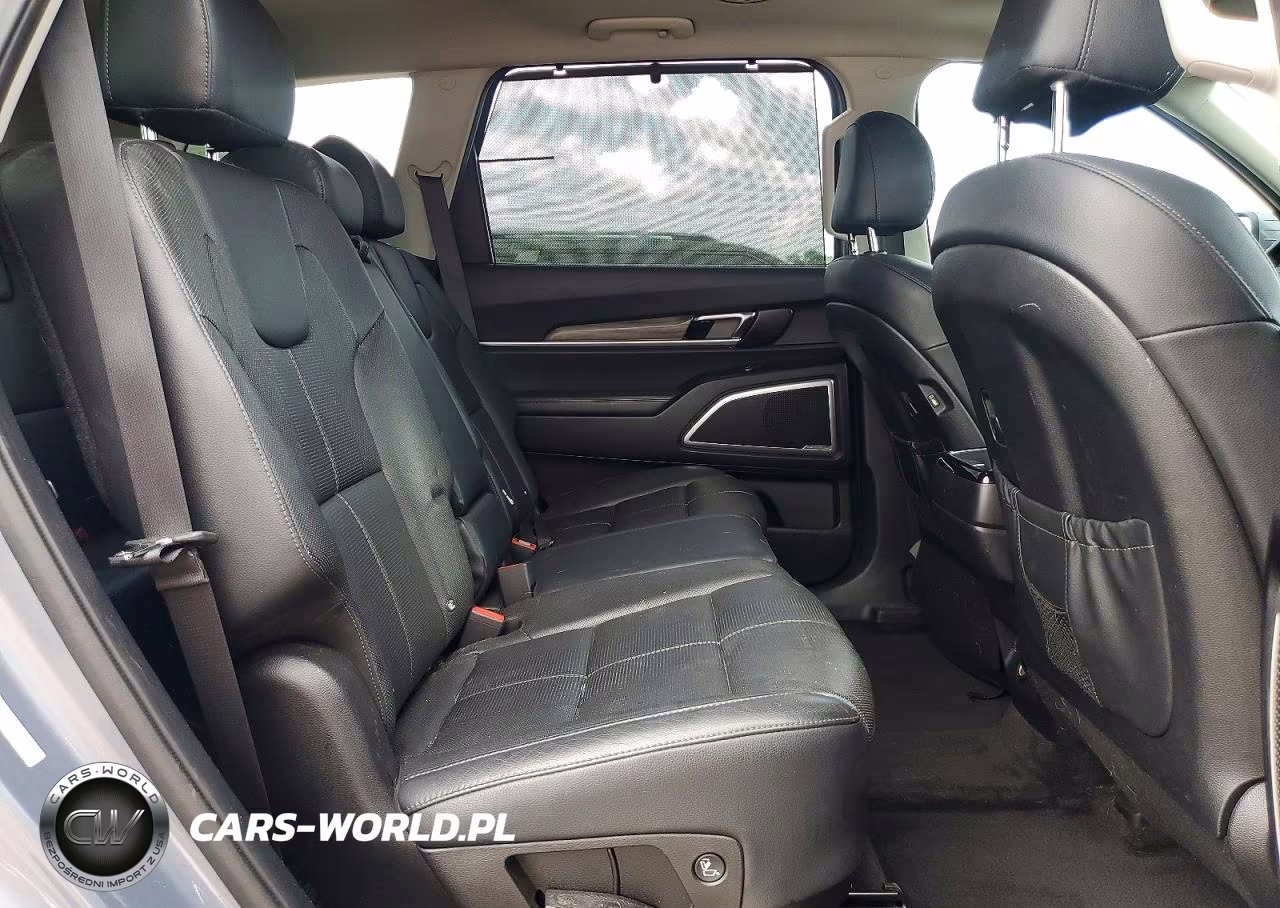 2020 Kia Telluride Ex VIN:5XYP34HC8LG003853 - 11