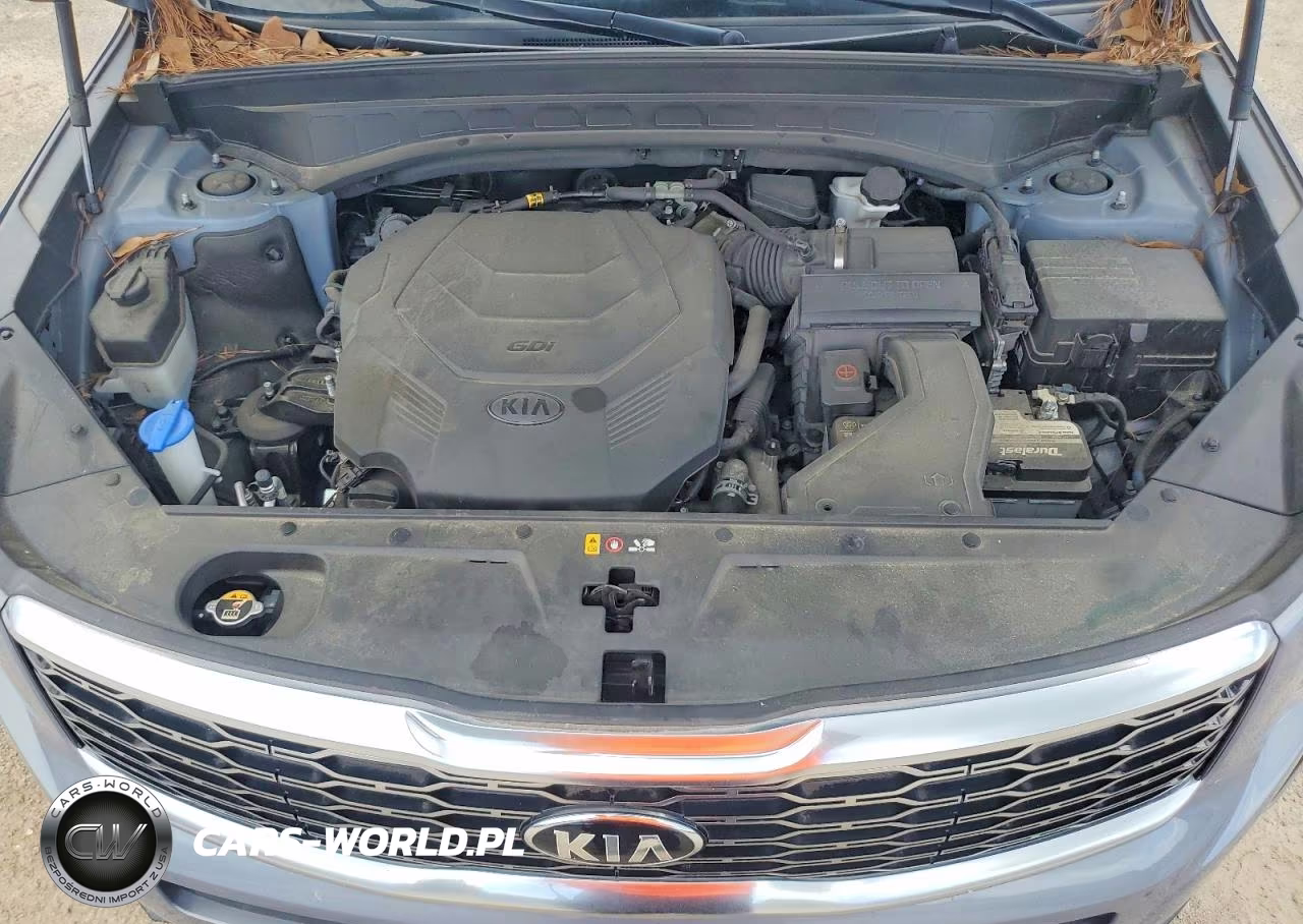 2020 Kia Telluride Ex VIN:5XYP34HC8LG003853 - 12