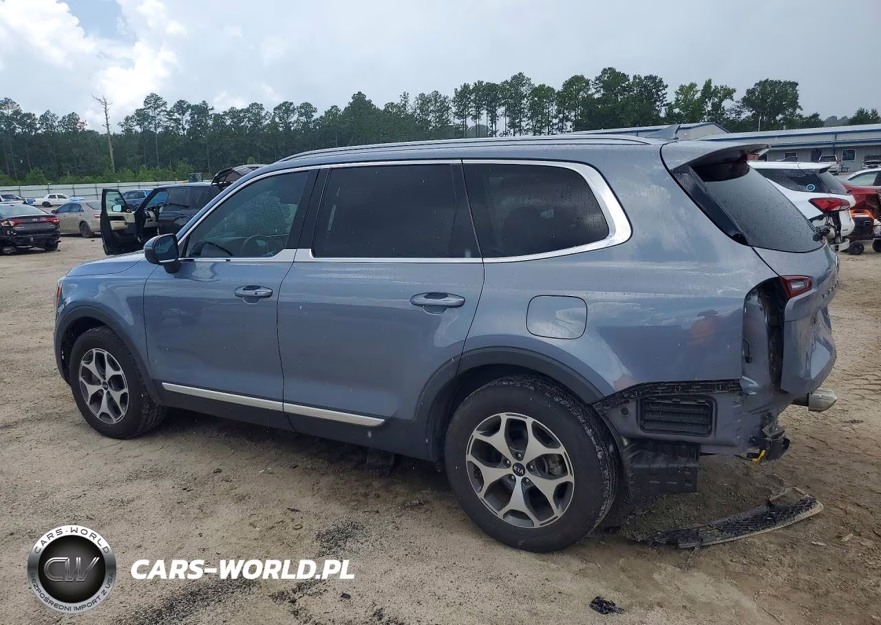 2020 Kia Telluride Ex VIN:5XYP34HC8LG003853 - 2
