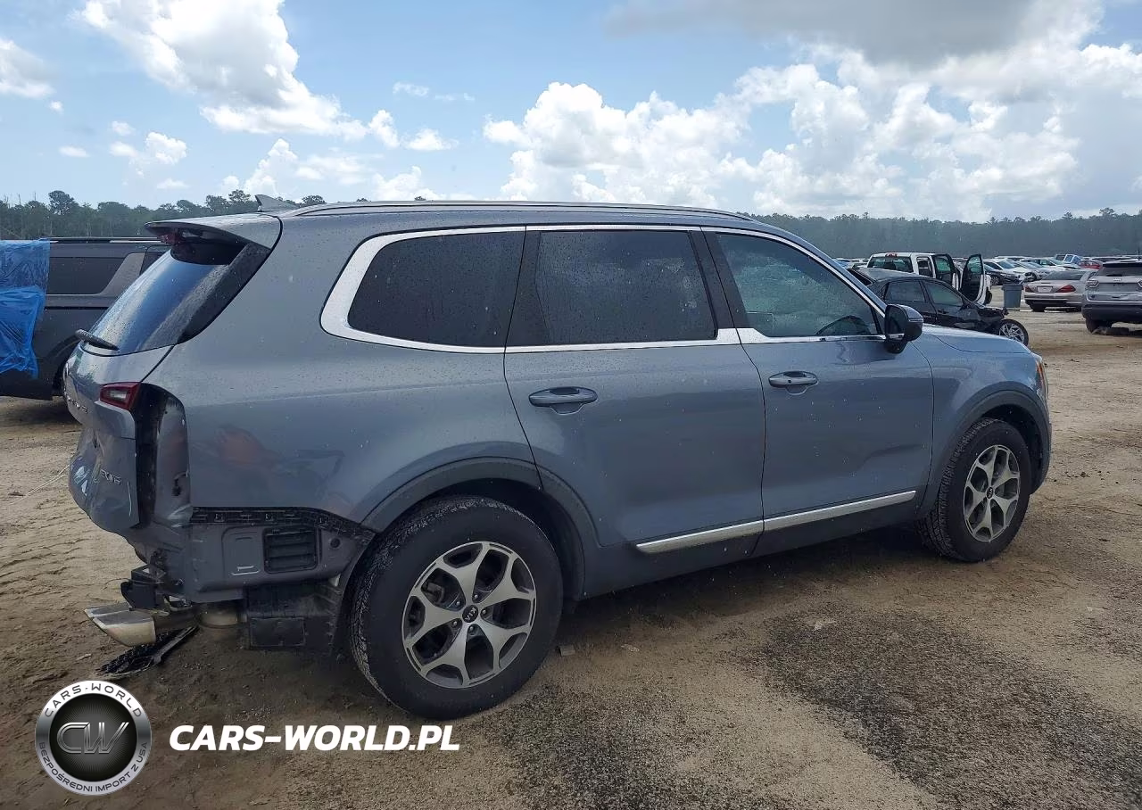 2020 Kia Telluride Ex VIN:5XYP34HC8LG003853 - 3