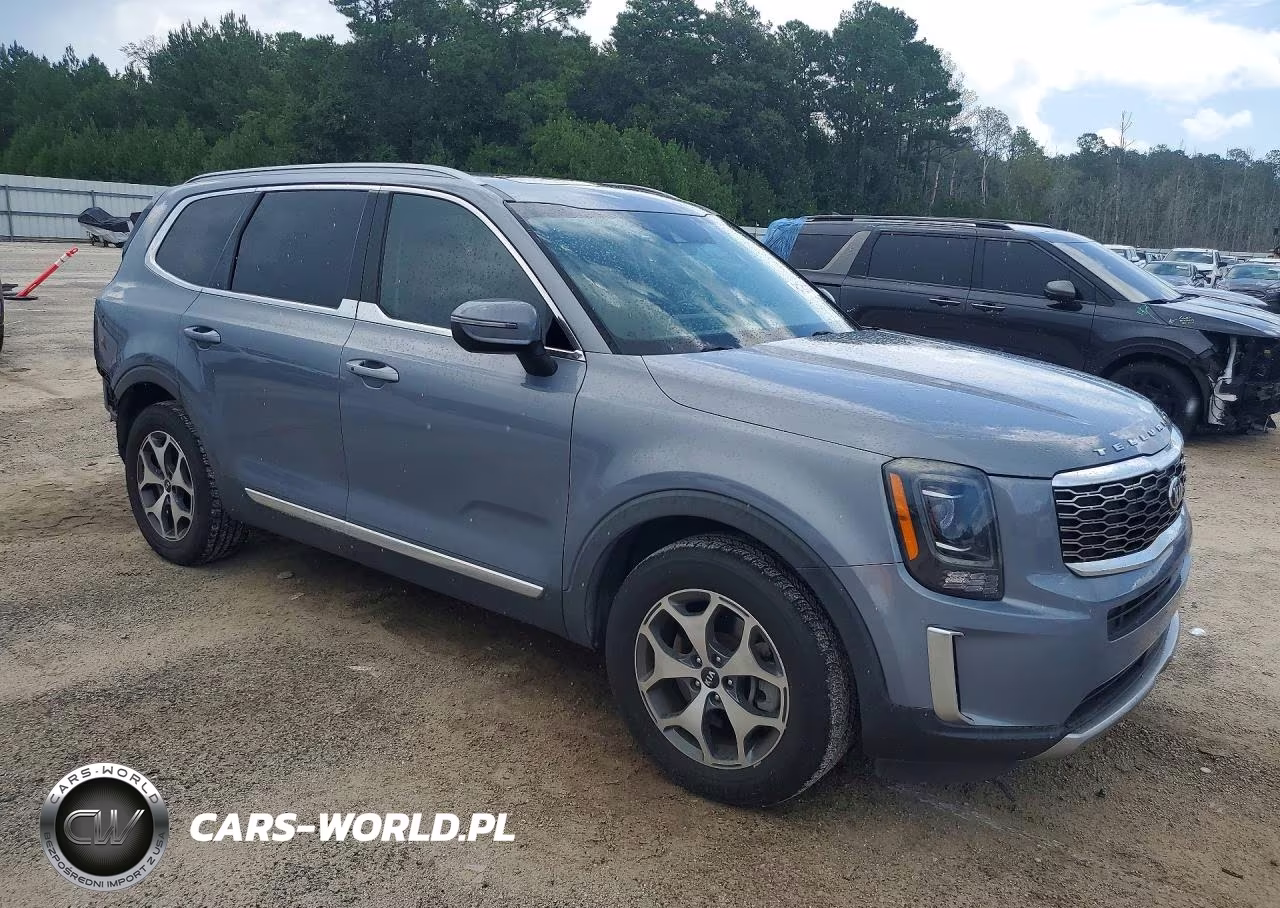 2020 Kia Telluride Ex VIN:5XYP34HC8LG003853 - 4