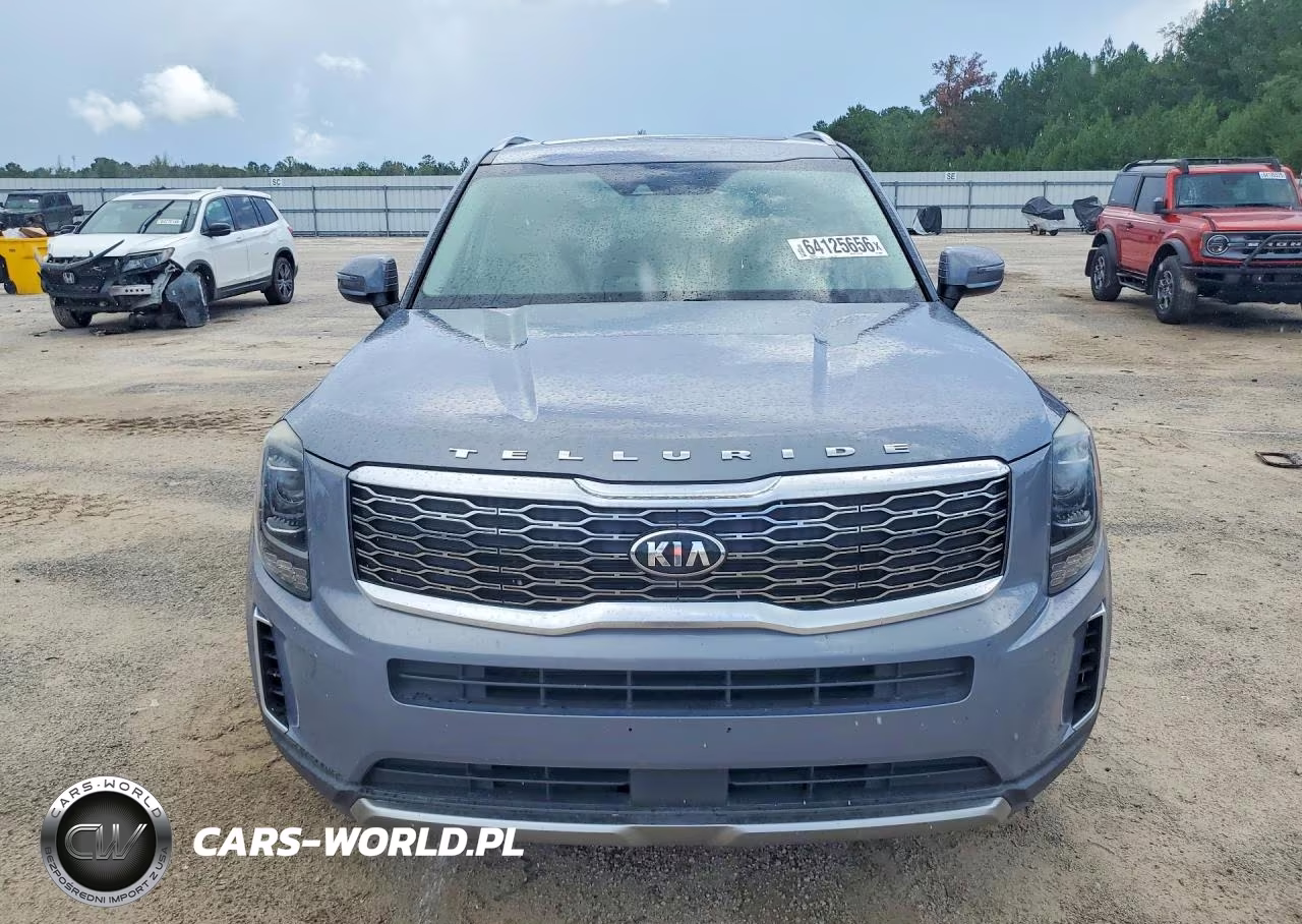 2020 Kia Telluride Ex VIN:5XYP34HC8LG003853 - 5