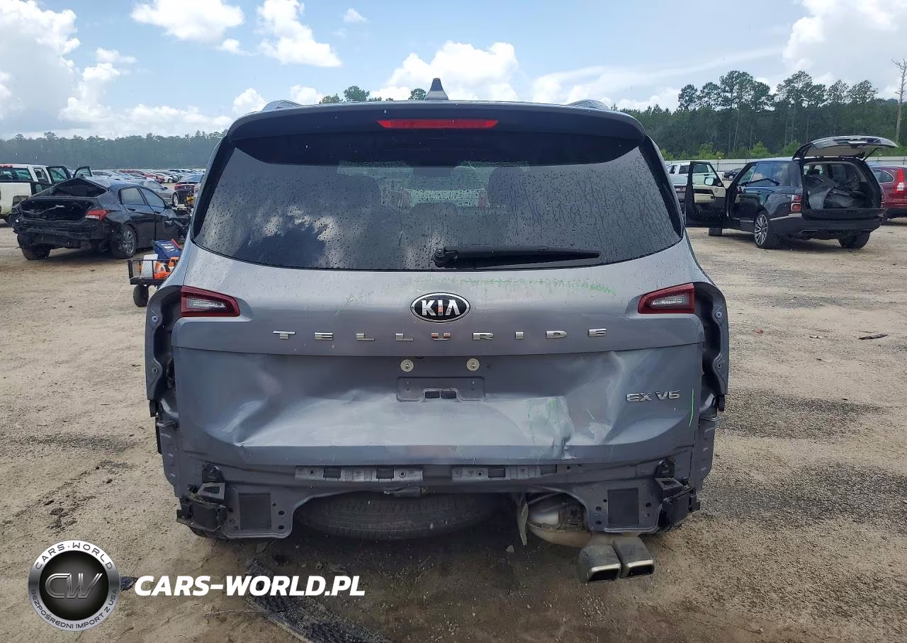 2020 Kia Telluride Ex VIN:5XYP34HC8LG003853 - 6