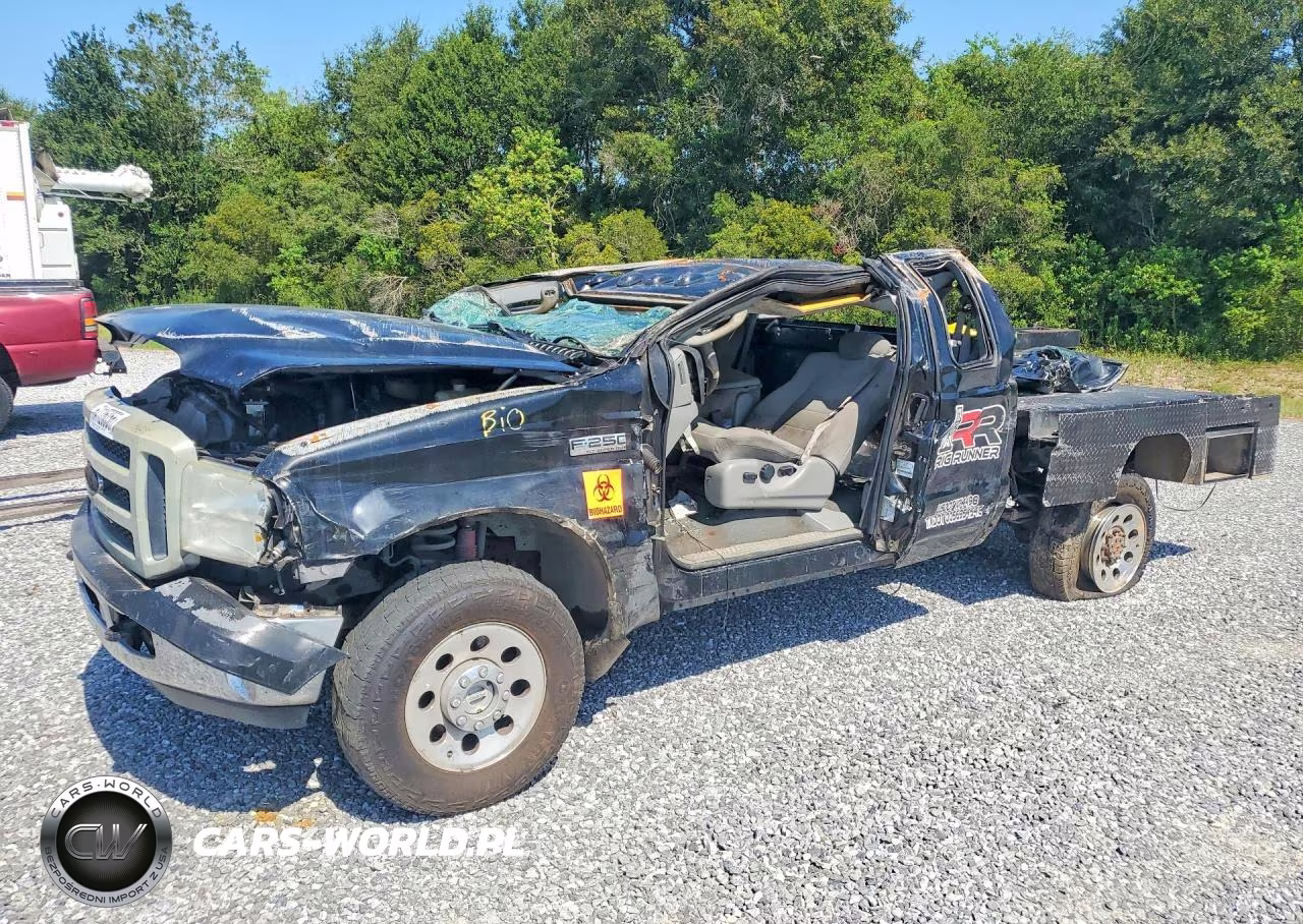 2006 Ford F250 Super Duty VIN:1FTSX21P56EC04820 - 1