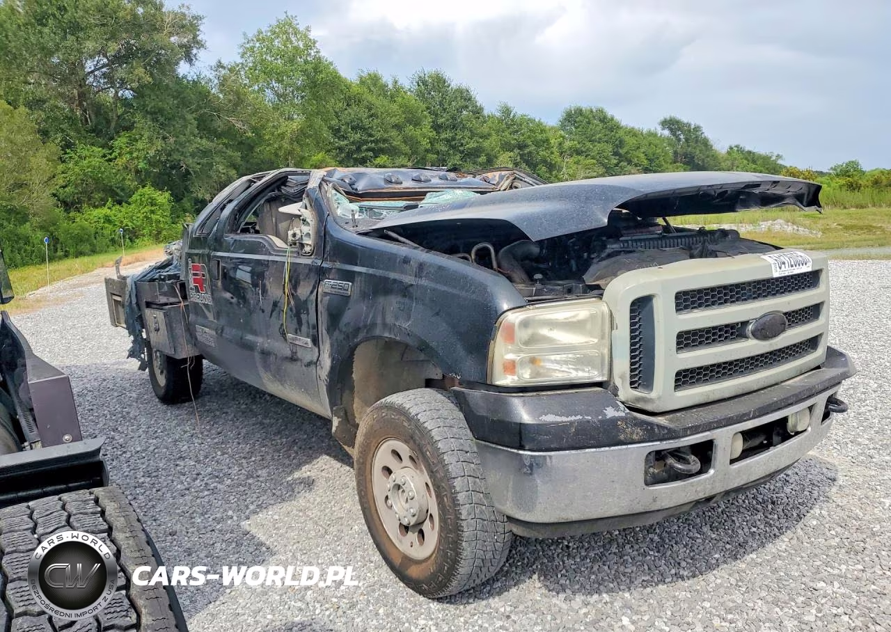 2006 Ford F250 Super Duty VIN:1FTSX21P56EC04820 - 4