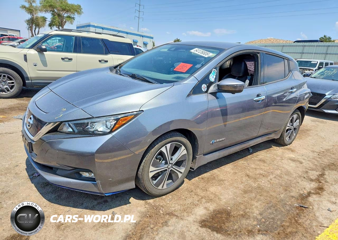 2019 Nissan Leaf Sl Plus VIN:1N4BZ1CP5KC317356 - 1