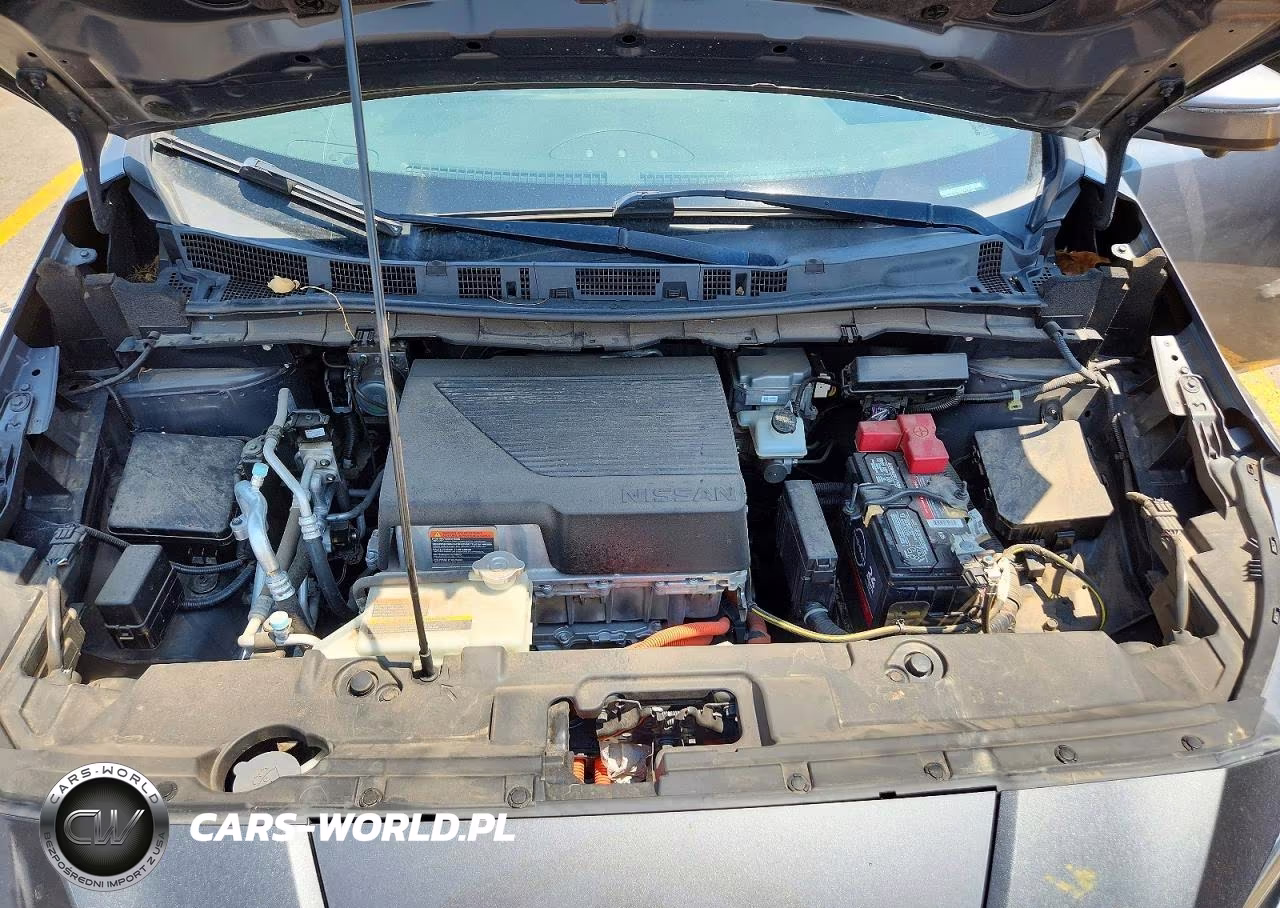 2019 Nissan Leaf Sl Plus VIN:1N4BZ1CP5KC317356 - 12