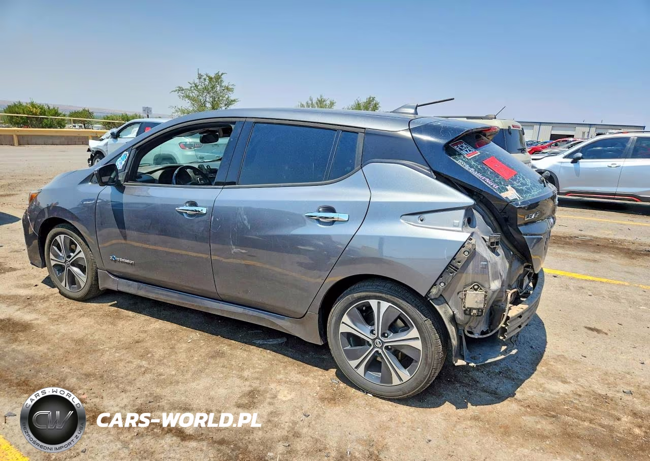 2019 Nissan Leaf Sl Plus VIN:1N4BZ1CP5KC317356 - 2