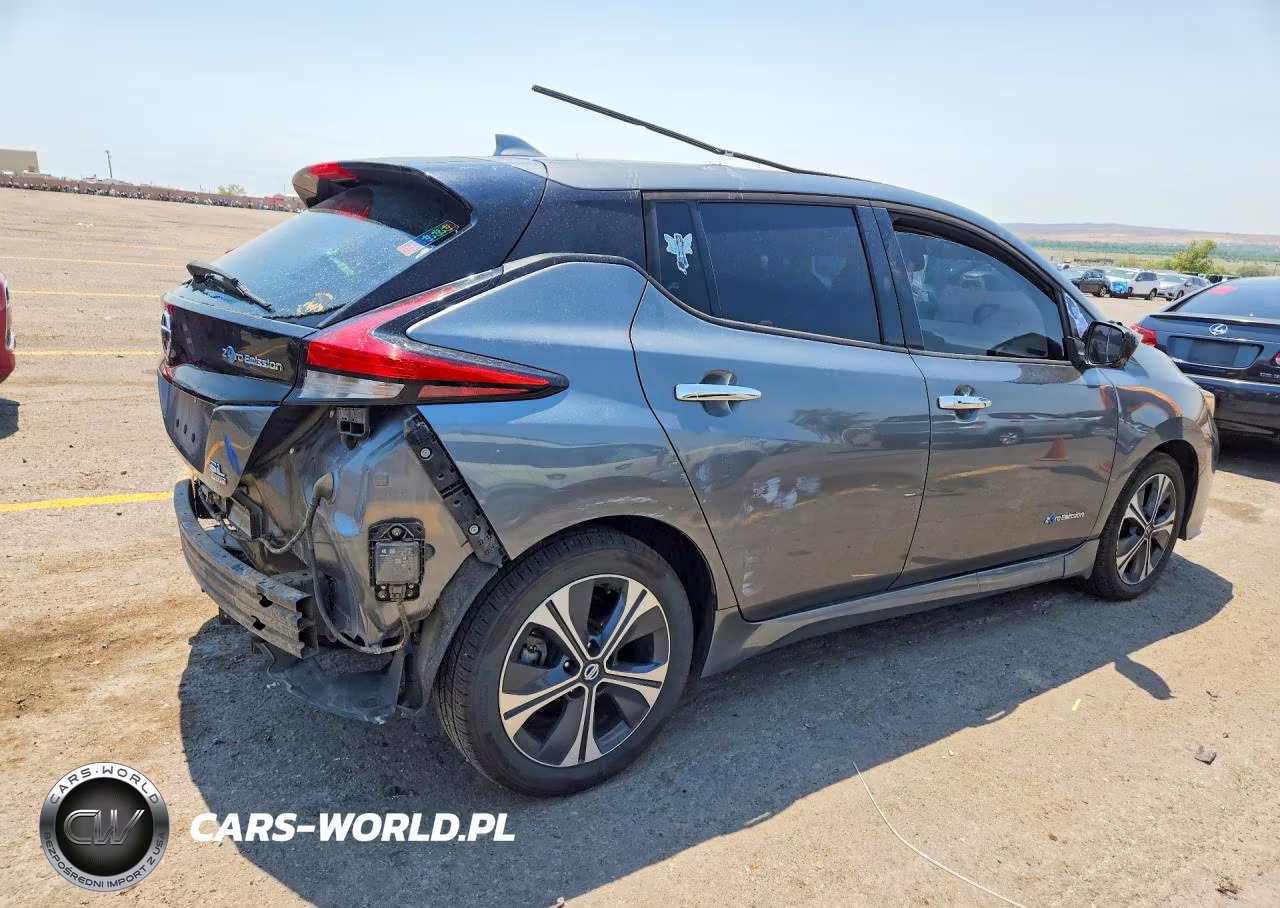 2019 Nissan Leaf Sl Plus VIN:1N4BZ1CP5KC317356 - 3