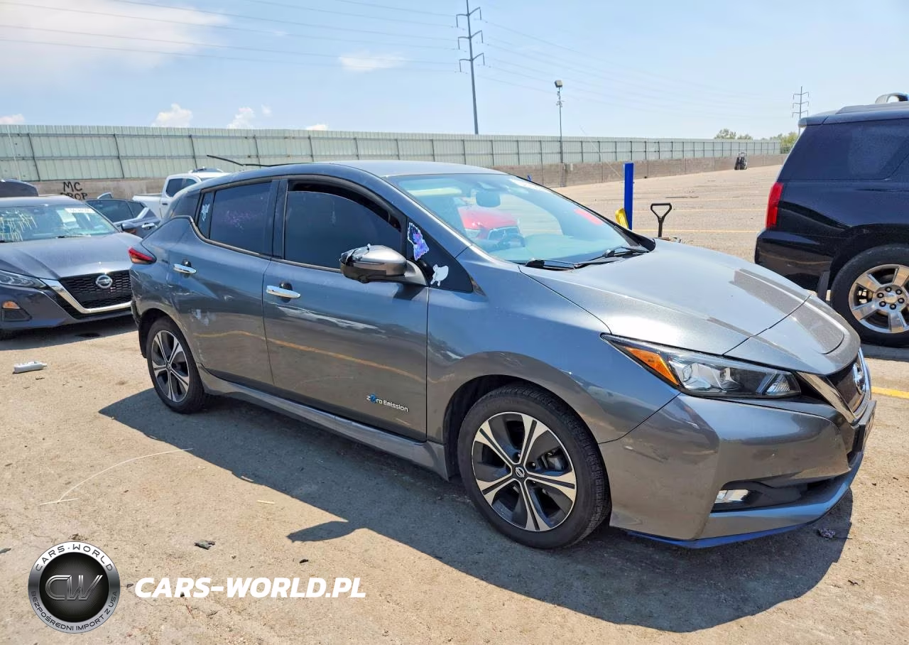 2019 Nissan Leaf Sl Plus VIN:1N4BZ1CP5KC317356 - 4