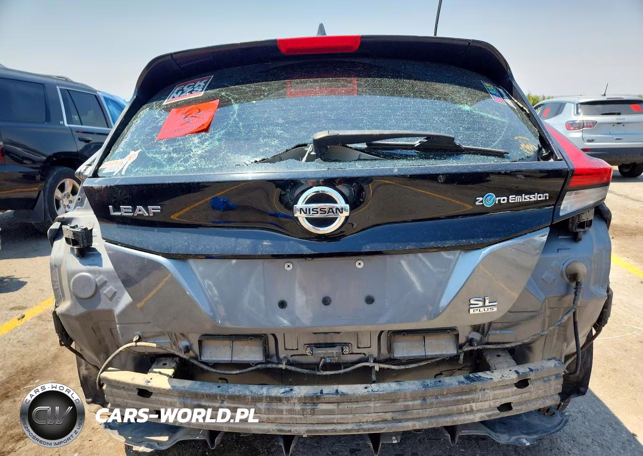 2019 Nissan Leaf Sl Plus VIN:1N4BZ1CP5KC317356 - 6