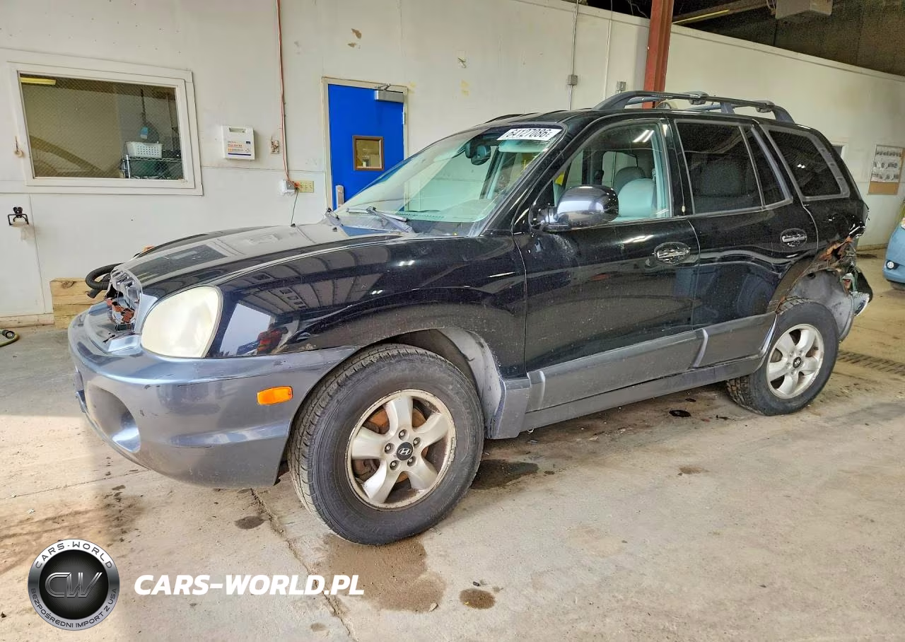 2006 Hyundai Santa Fe Gls – zdjęcie 1 z 14