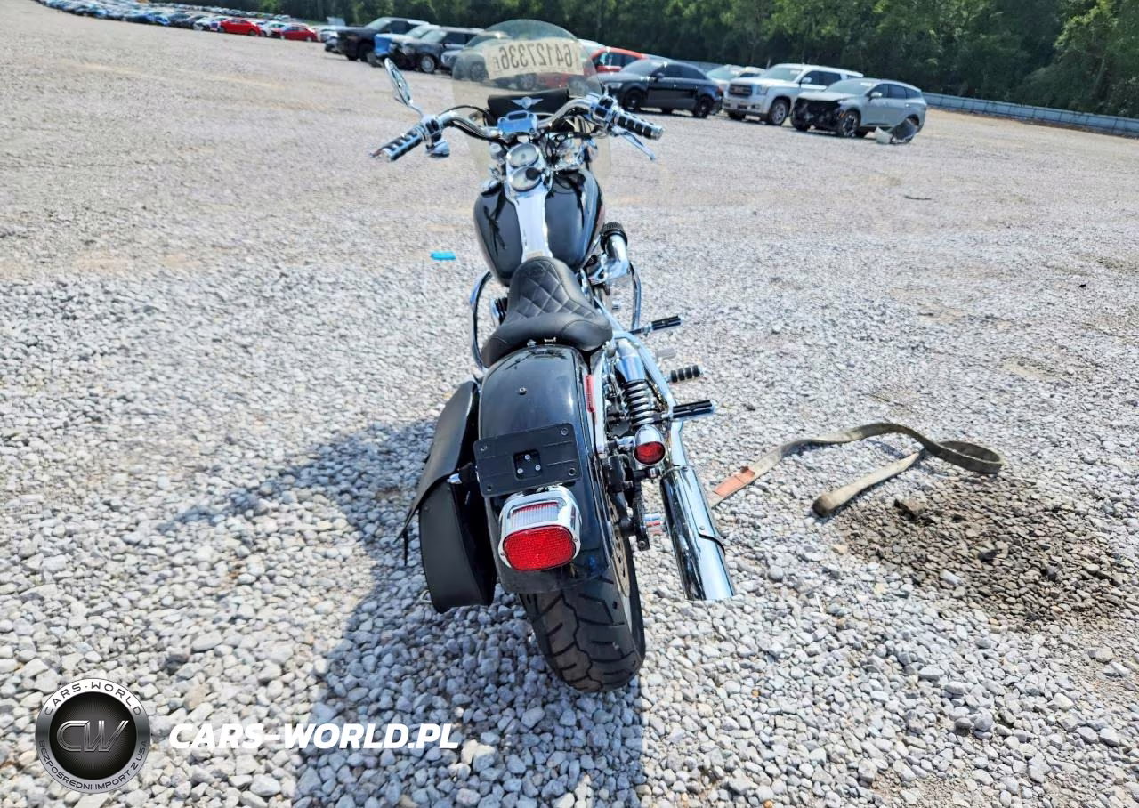 2009 Harley-Davidson Fxdl VIN:1HD1GN41X9K303545 - 4