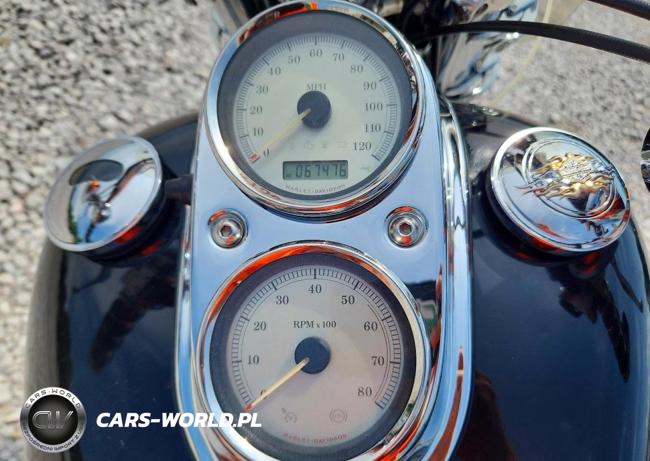 2009 Harley-Davidson Fxdl VIN:1HD1GN41X9K303545 - 7