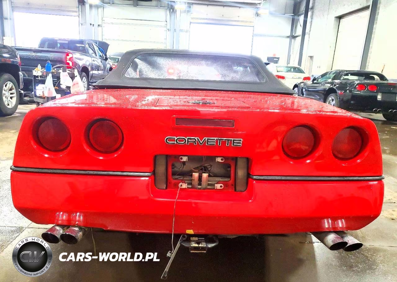 1990 Chevrolet Corvette VIN:1G1YY3382L5111244 - 10