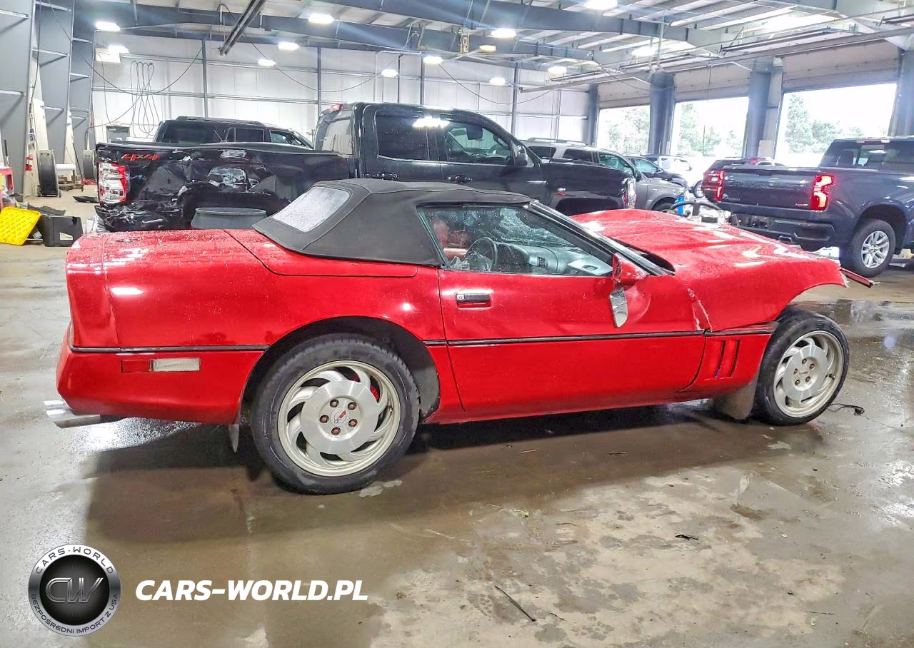 1990 Chevrolet Corvette VIN:1G1YY3382L5111244 - 3