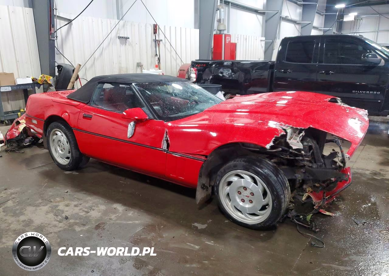 1990 Chevrolet Corvette VIN:1G1YY3382L5111244 - 4
