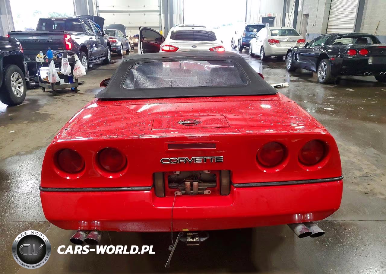1990 Chevrolet Corvette VIN:1G1YY3382L5111244 - 6