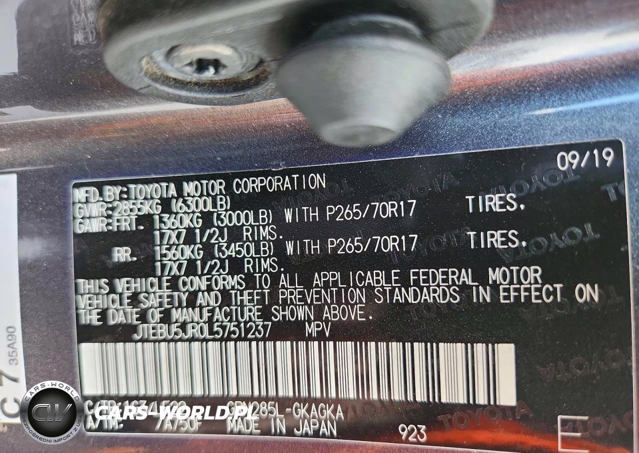 2020 Toyota 4Runner Trd Pro VIN:JTEBU5JR0L5751237 - 13