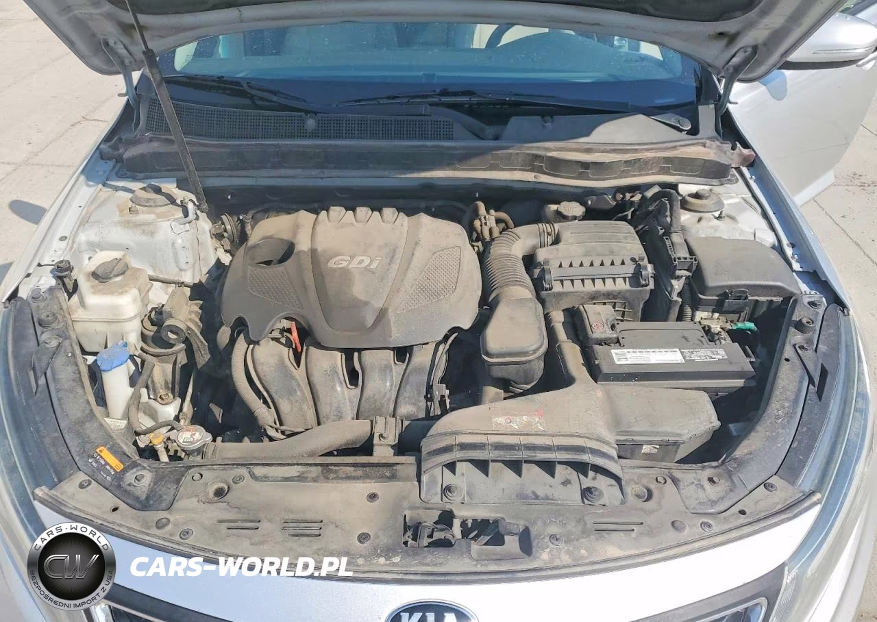 2014 Kia Optima Lx VIN:KNAGM4A79E5466832 - 11