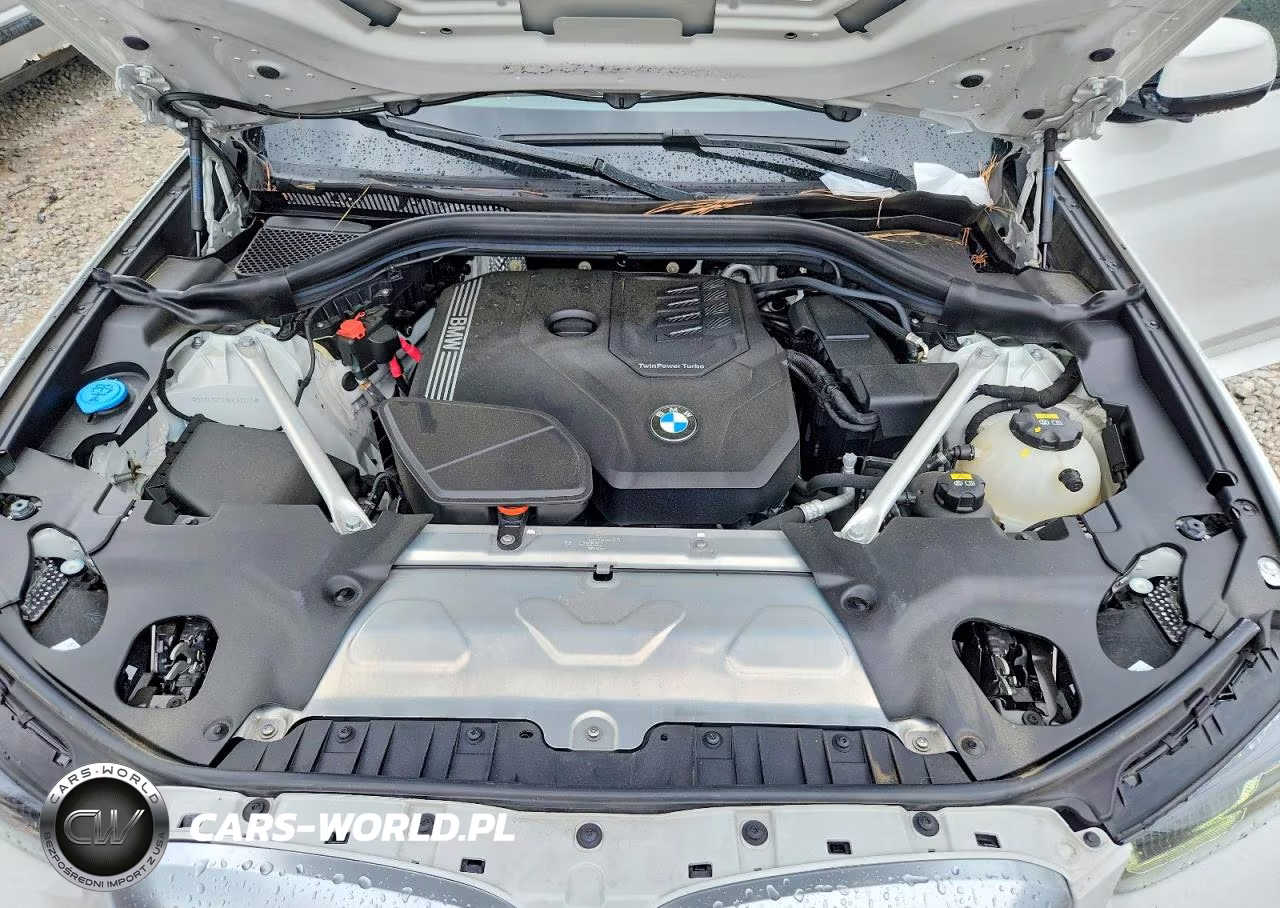 2022 BMW X3 Sdrive30I VIN:5UX43DP01N9L53337 - 12
