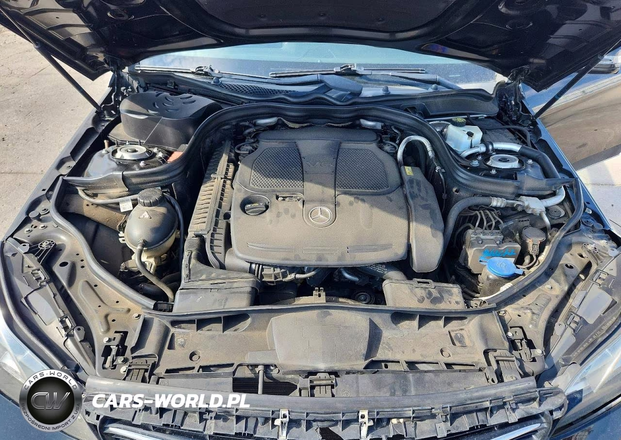 2014 Mercedes-Benz E 350 VIN:WDDHF5KB4EA833479 - 11