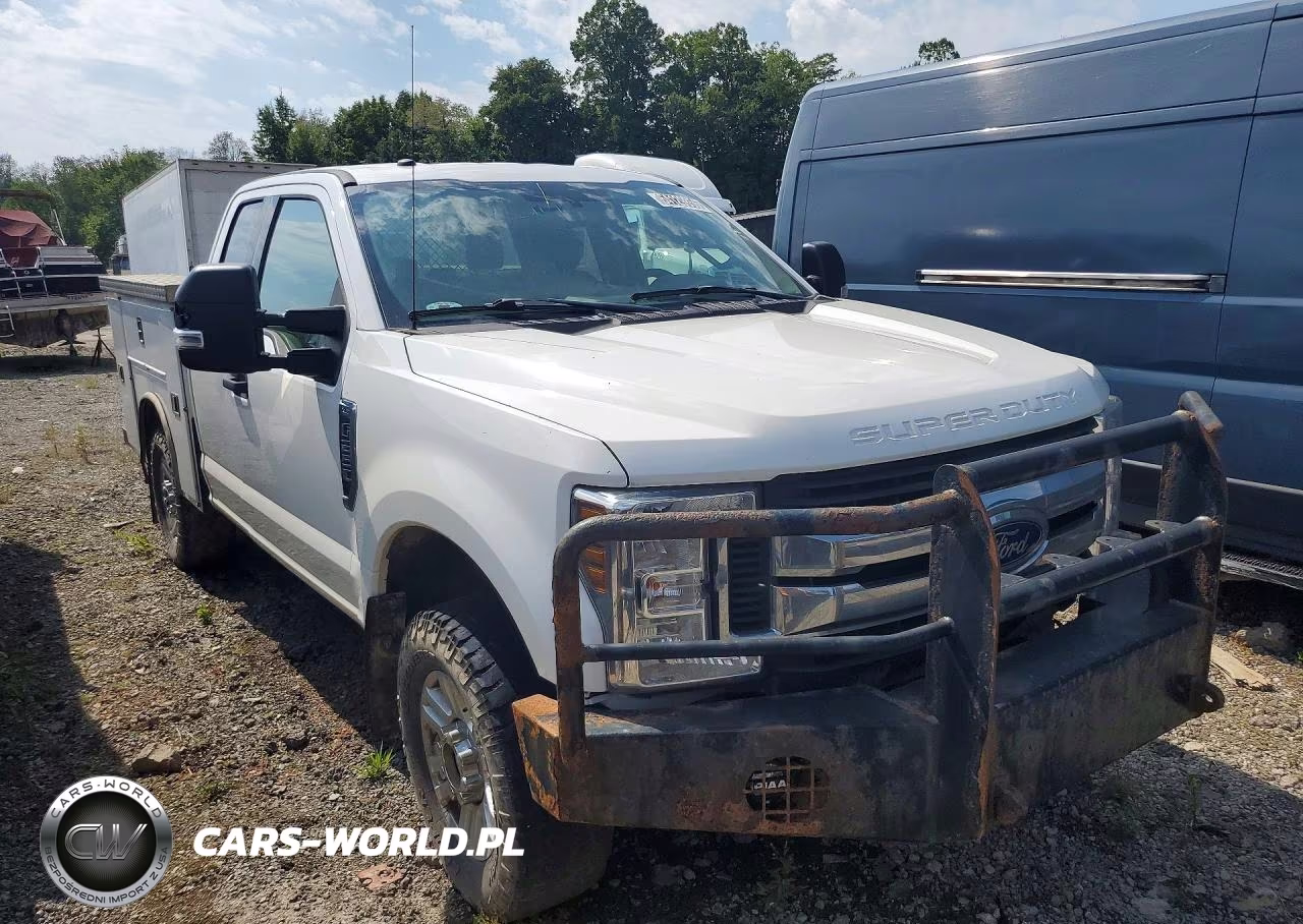 2019 Ford F250 Super Duty VIN:1FT7X2B63KEF59295 - 4