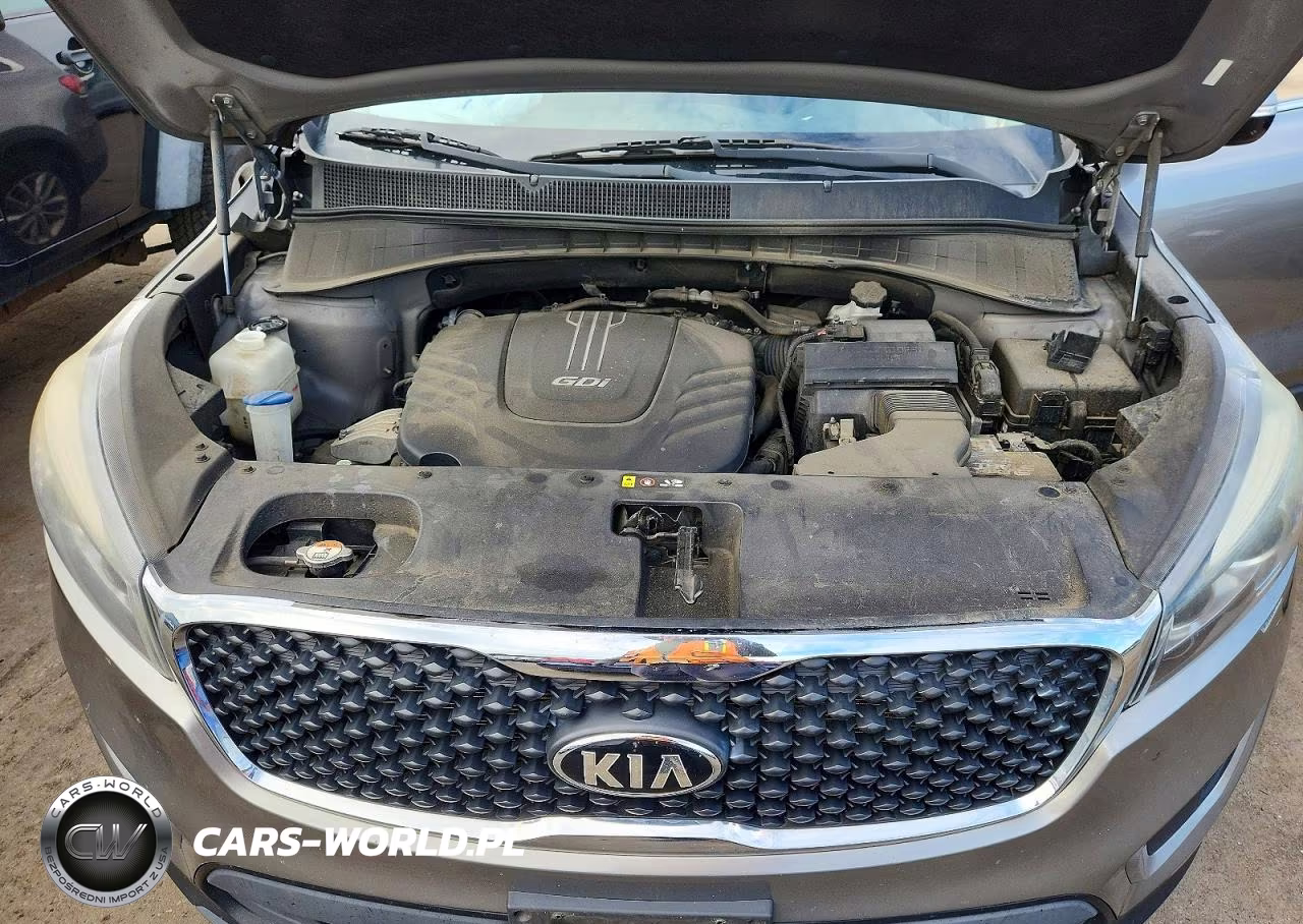 2017 Kia Sorento Lx V6 VIN:5XYPGDA56HG242034 - 12