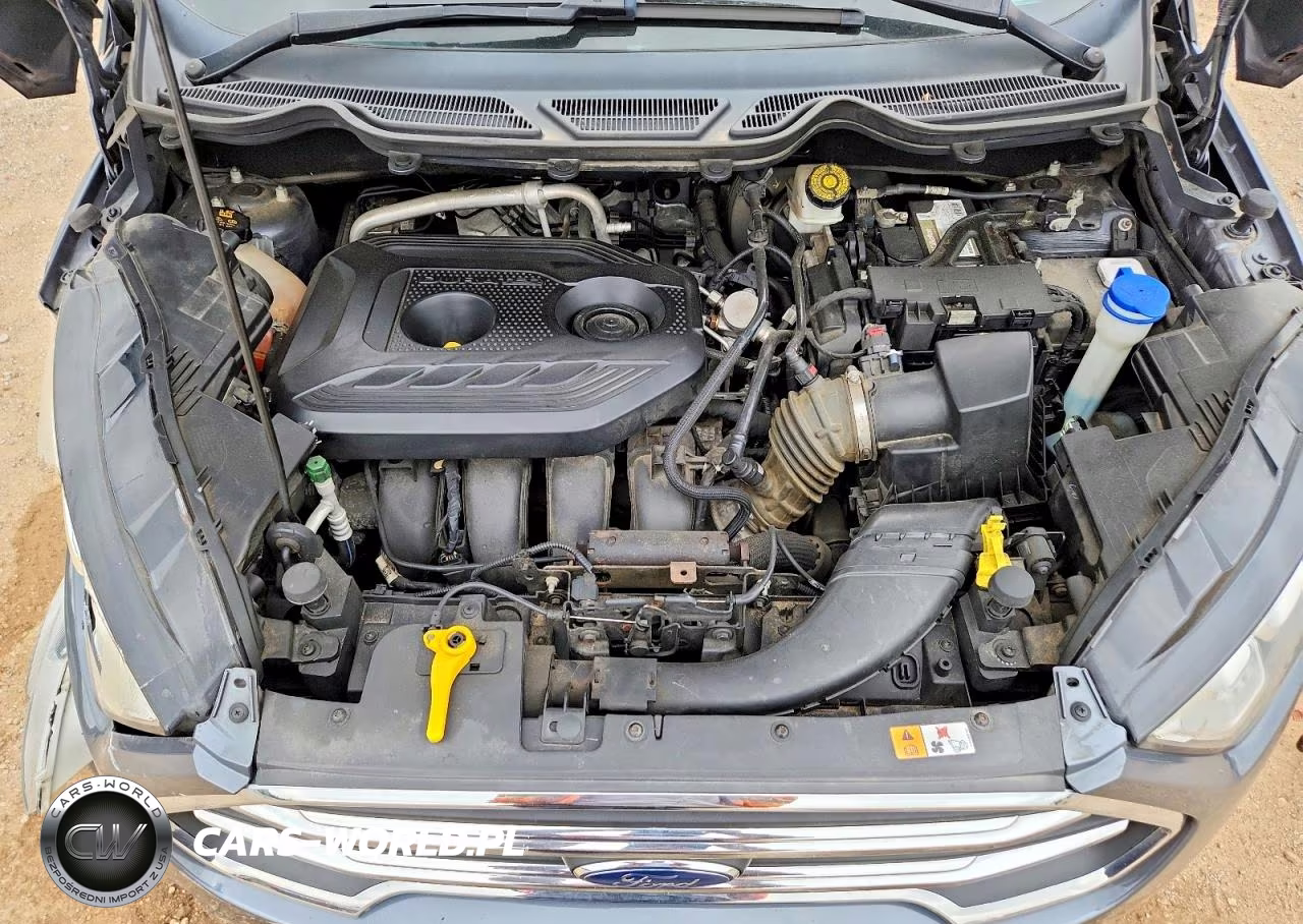 2019 Ford Ecosport Titanium VIN:MAJ6S3KL3KC260588 - 12