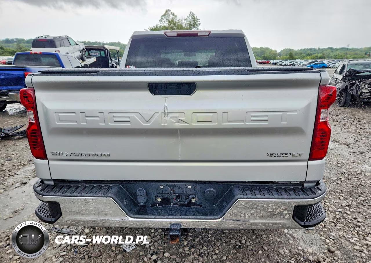 2019 Chevrolet Silverado K1500 Lt VIN:1GCUYDED4KZ149085 - 6