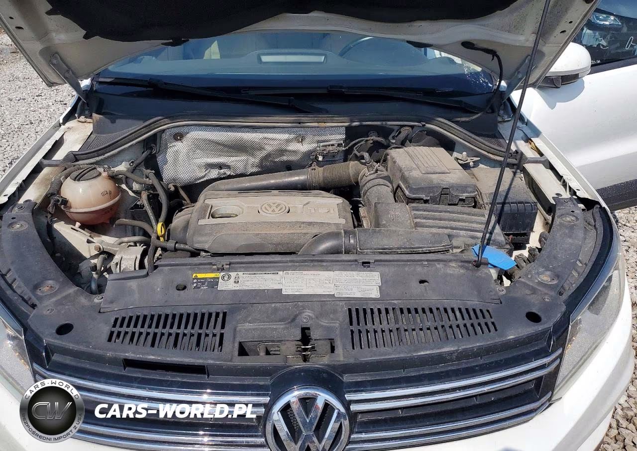 2016 Volkswagen Tiguan S VIN:WVGBV7AX6GW513562 - 12